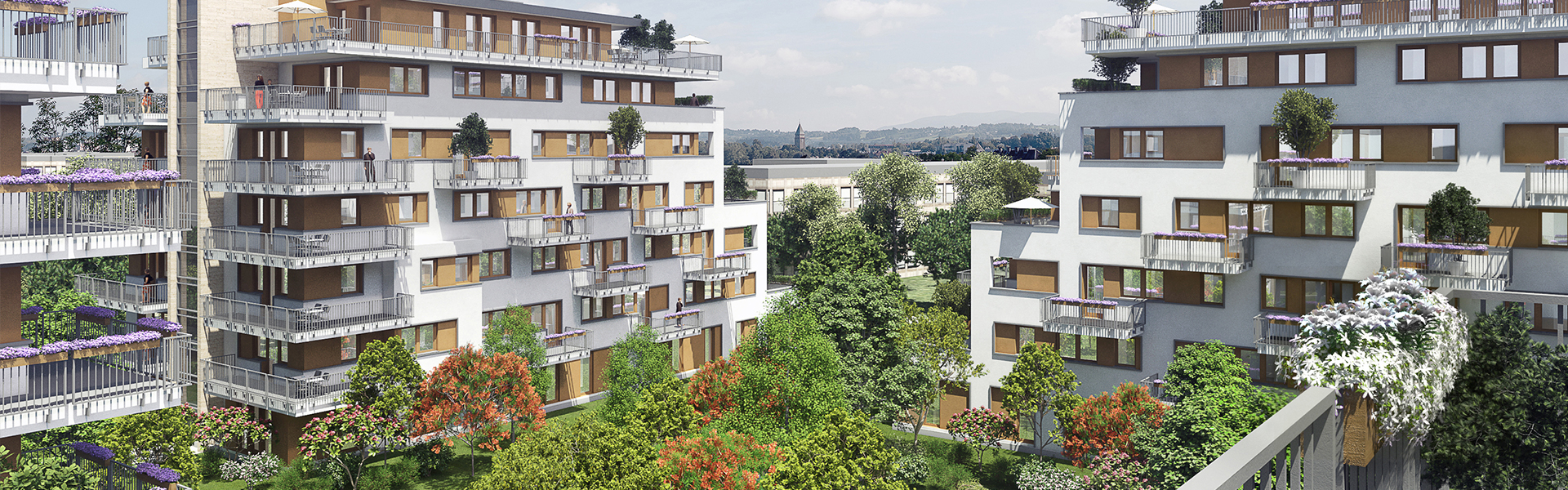 cordia_lakashitel_lakopark