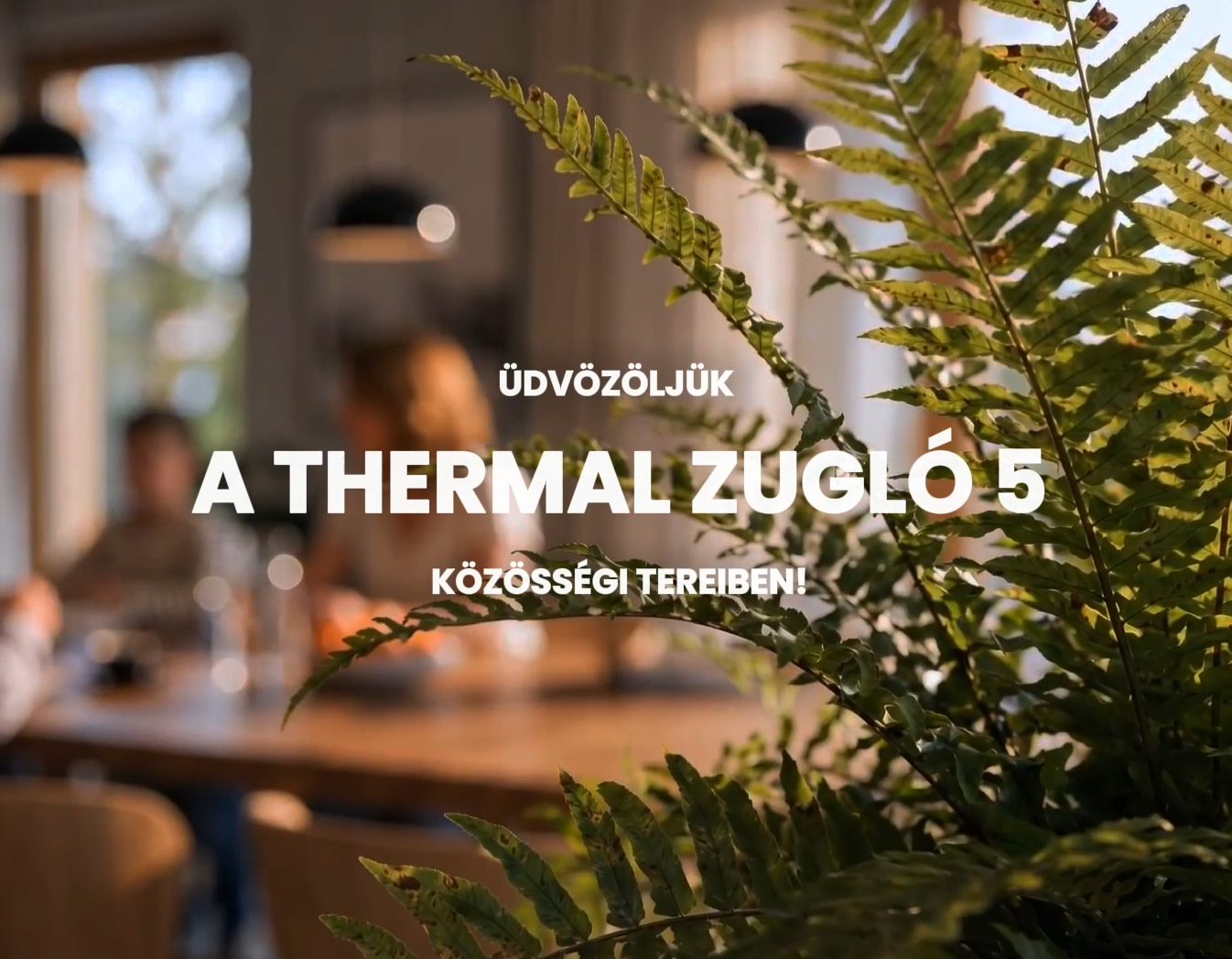 képernyőkép 2026-06-15 110127