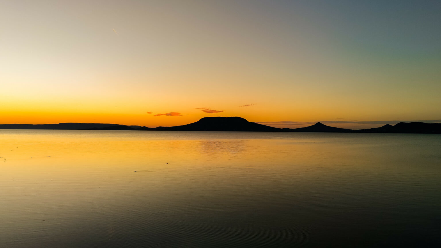 5680f101-92e0-4452-97e0-f3d087197c49