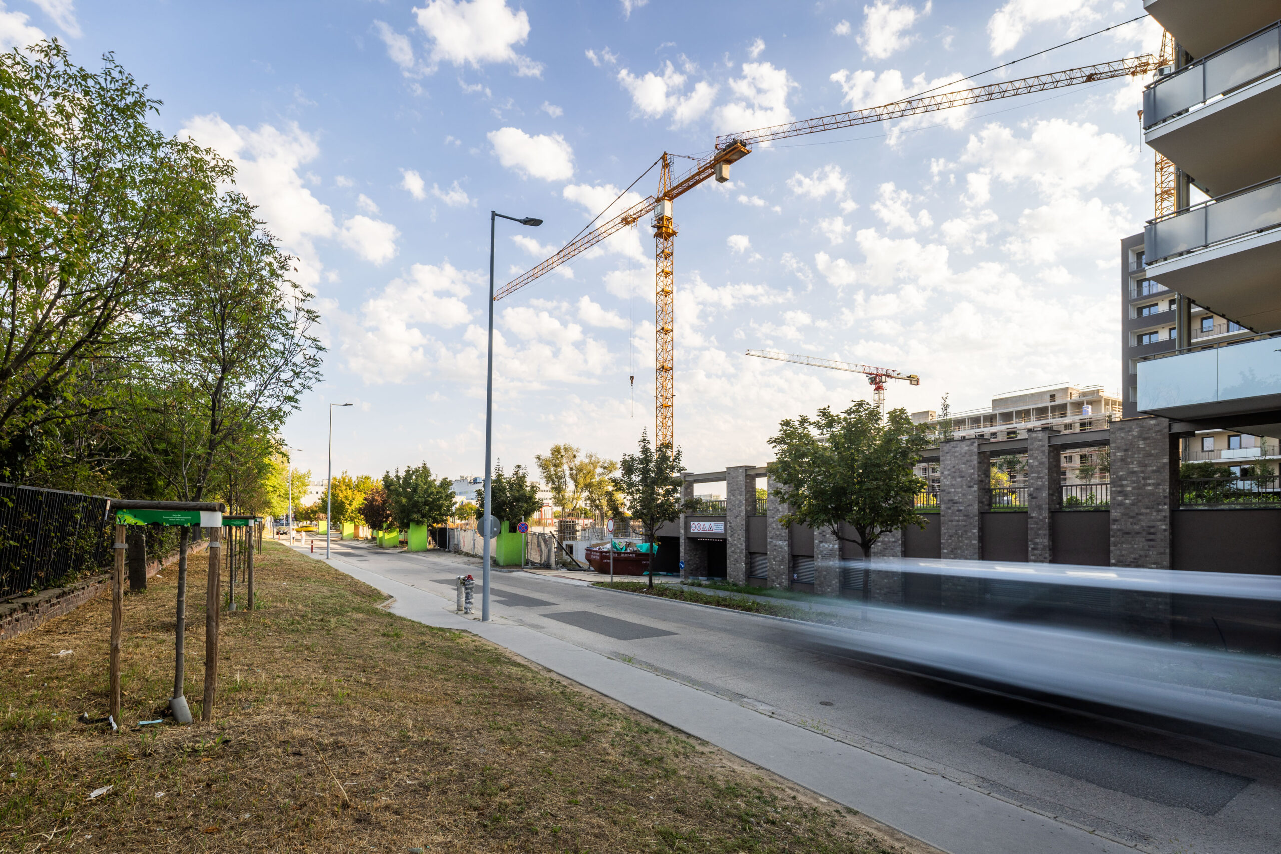 Woodland 2025. szeptember