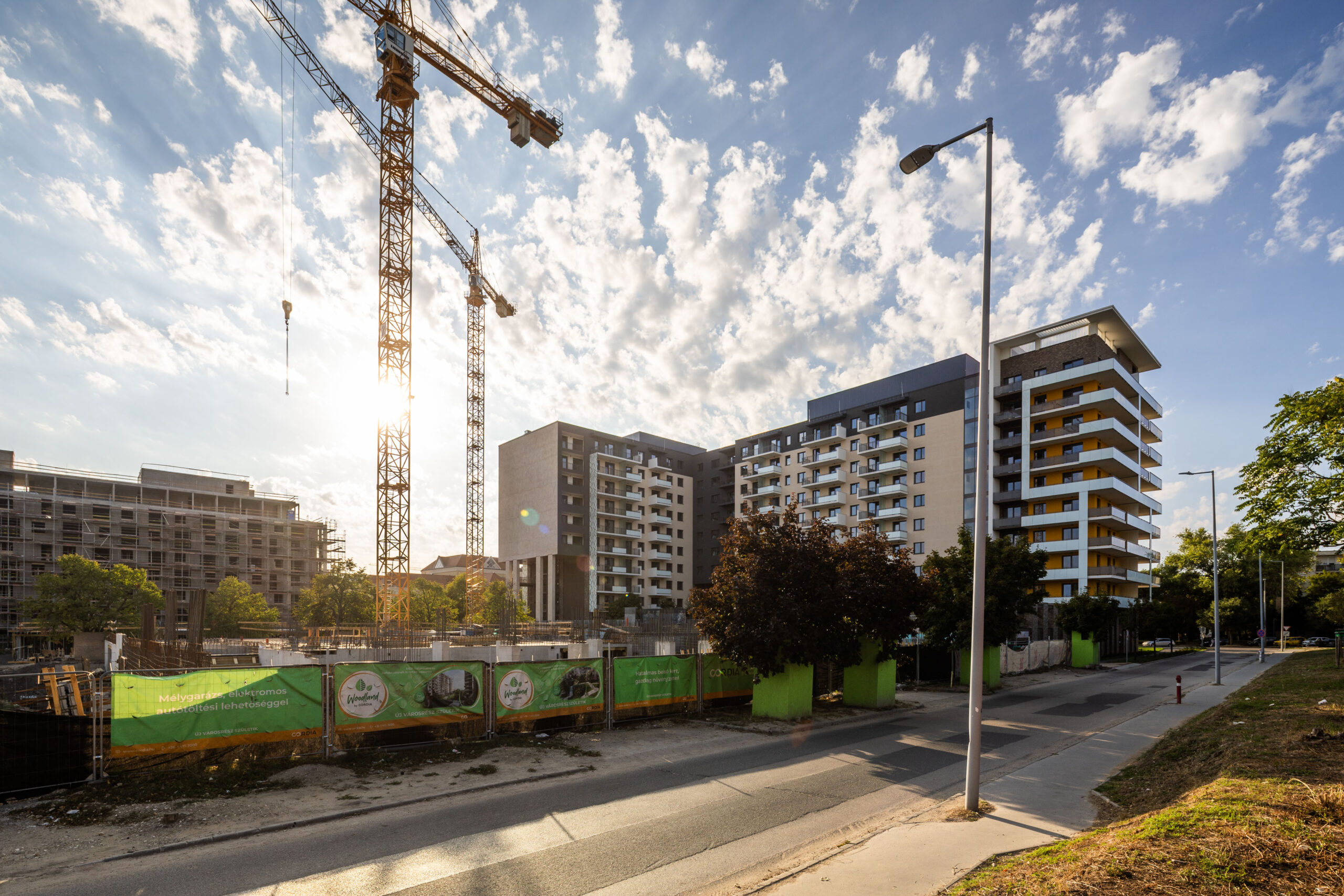 Woodland 2025. szeptember