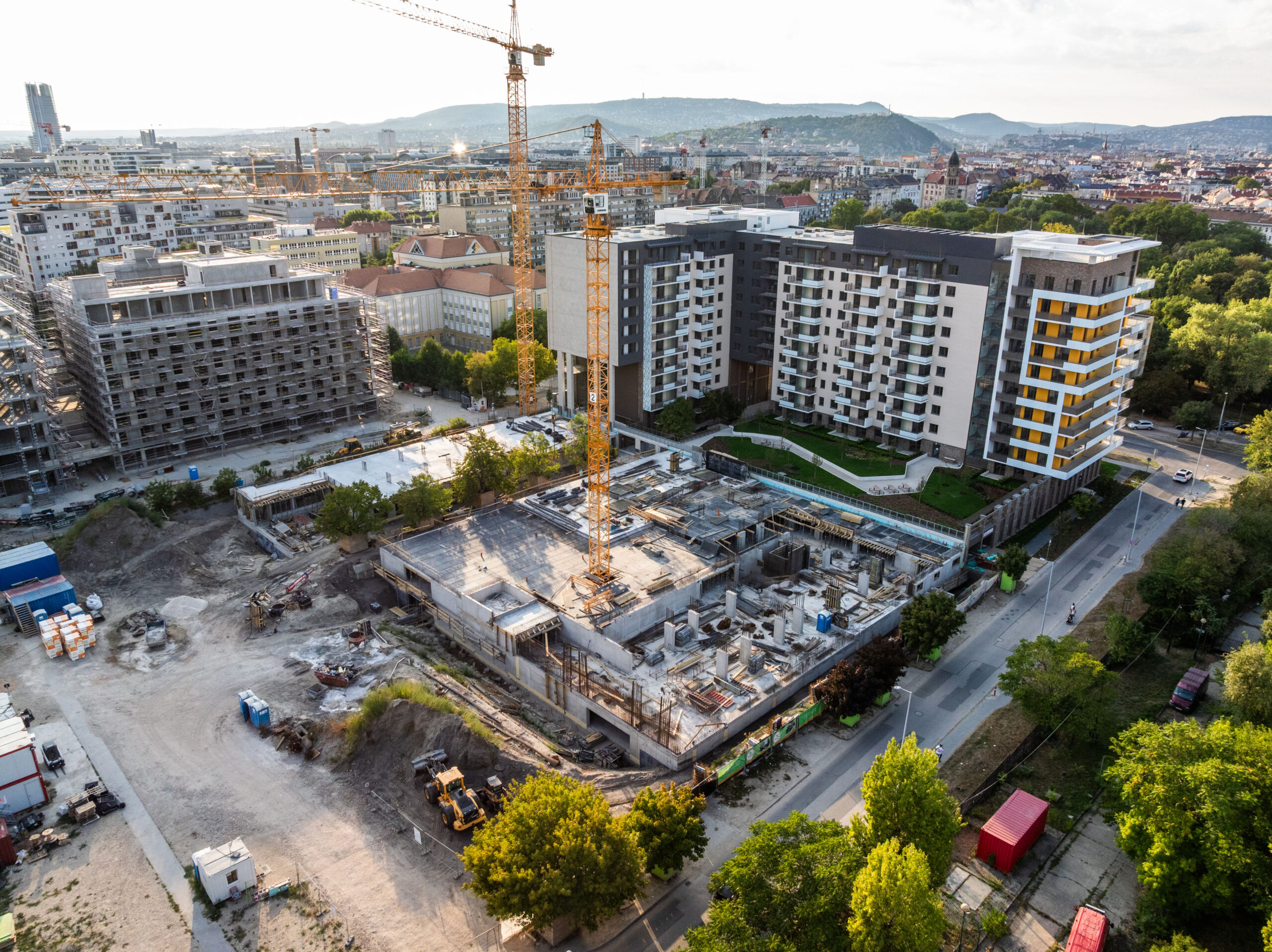 Woodland 2025. szeptember