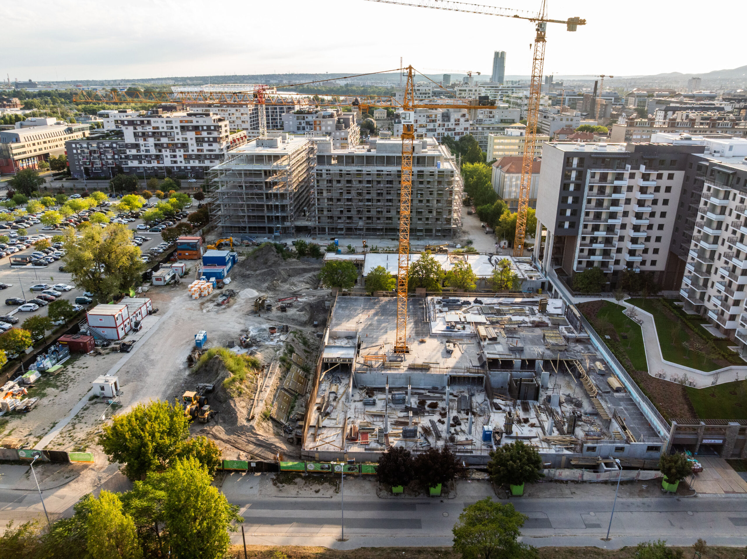 Woodland 2025. szeptember