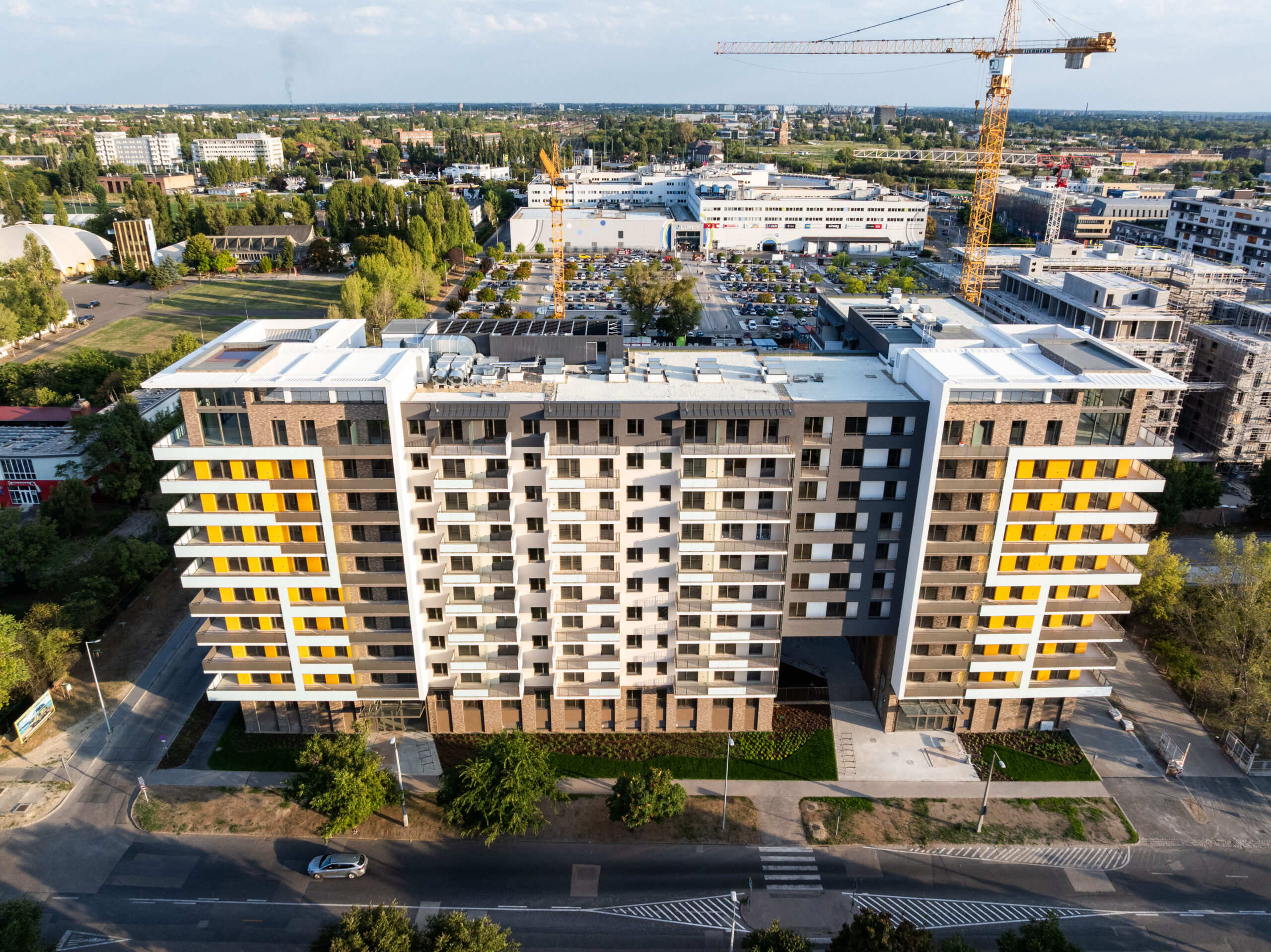 Woodland 2025. szeptember